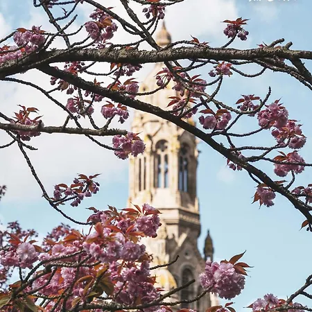 Maison Esprit Nature - Puy Du Fou Feriehus *