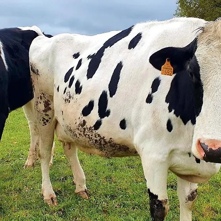 Hébergement de vacances Maison Esprit Nature - Puy Du Fou *
