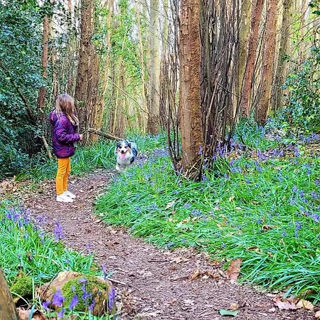 Maison Esprit Nature - Puy Du Fou *