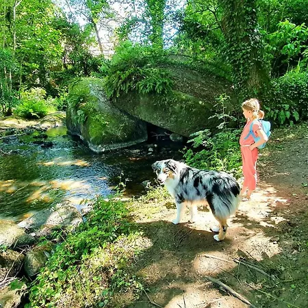 Maison Esprit Nature - Puy Du Fou Hébergement de vacances *