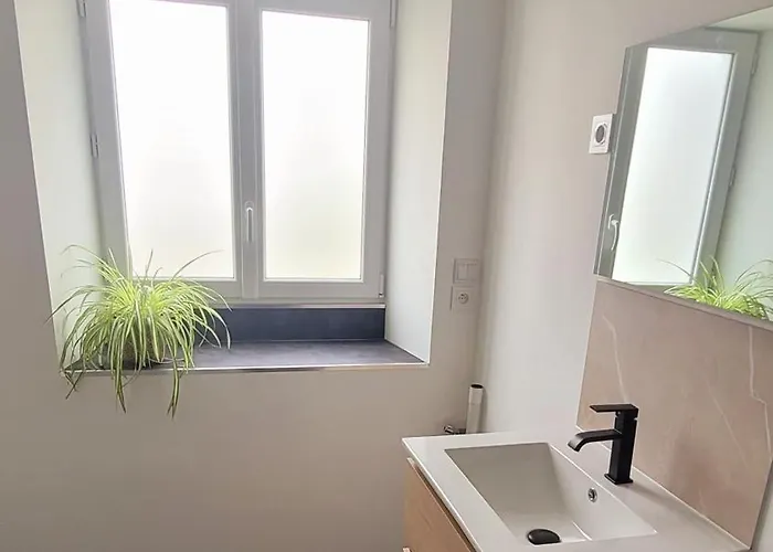 Maison Esprit Nature - Puy Du Fou سا لوران سور سيفر