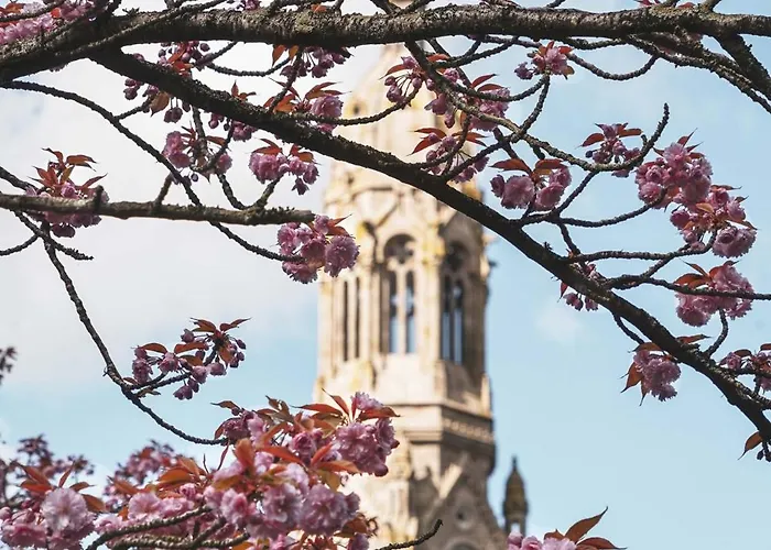 Maison Esprit Nature - Puy Du Fou Hébergement de vacances *