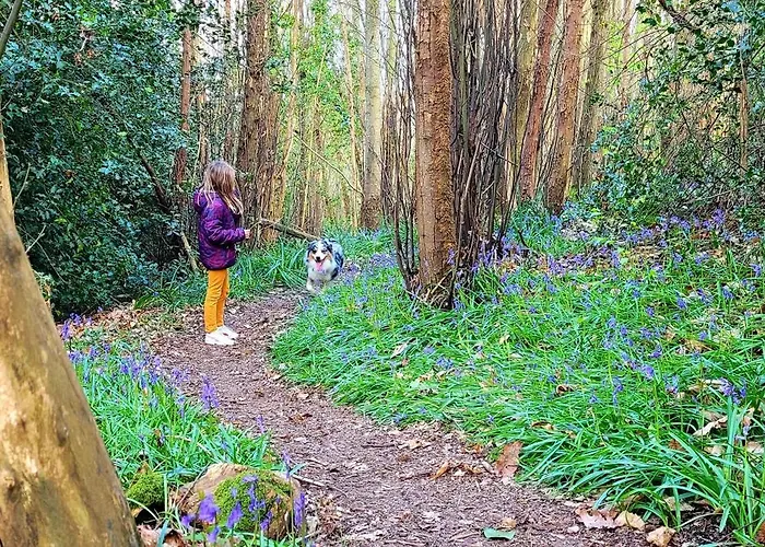 Maison Esprit Nature - Puy Du Fou *