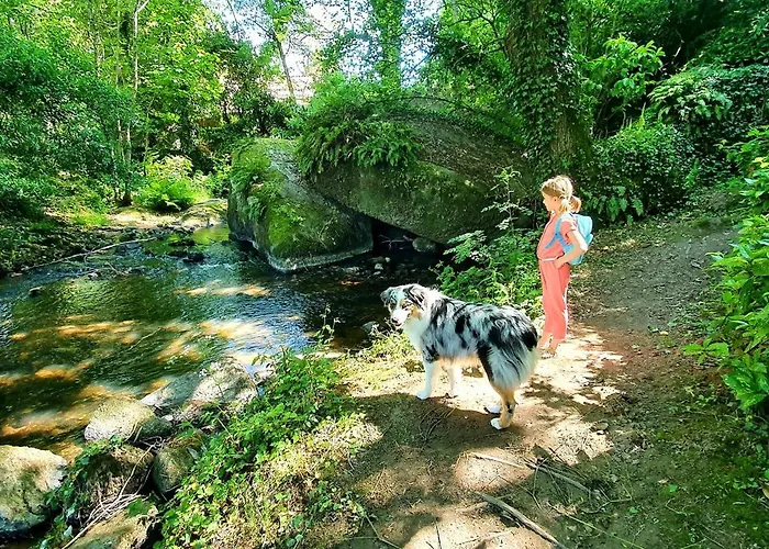 Maison Esprit Nature - Puy Du Fou Hébergement de vacances *